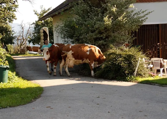 Mentebauer Traudi\'S Ferienhof